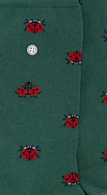 Alfredo Gonzales Lady Bugs