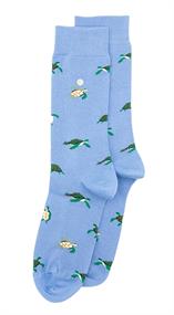 Alfredo Gonzales Turtles