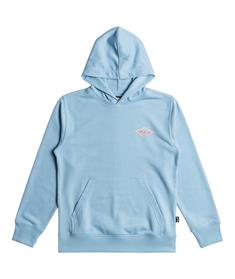 Billabong Foundation - Boys Surf Lifestyle Screen Fleece