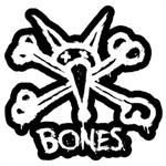 bones