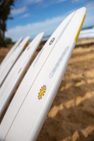 CI Surf Happy Everyday - Shortboard FCS