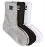 DC shoes DC - 3 pack Crew Socks for Kids