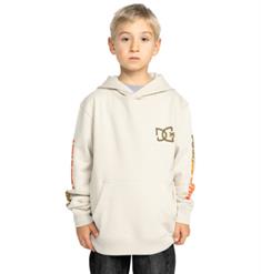 DC shoes Hot Box - Pullover-hoodie voor jongens van 8 - 16 jaar