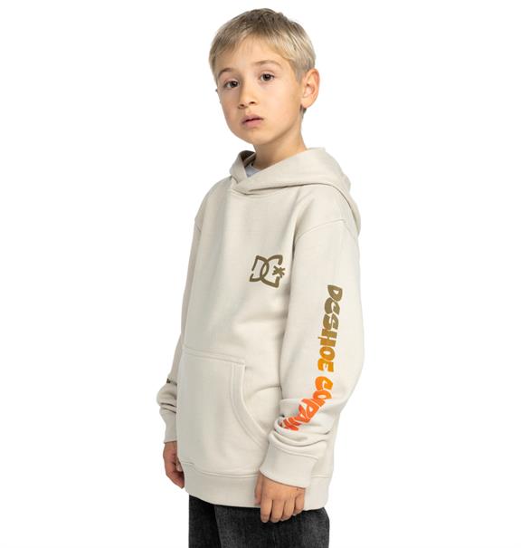 DC shoes Hot Box - Pullover-hoodie voor jongens van 8 - 16 jaar