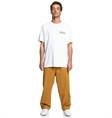 DC shoes True North - Short Sleeves T-Shirt for Men