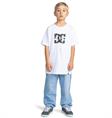 DC shoes Worker - Carpenter Denim Pant for Boys