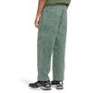 Element Carpenter Canvas - Carpenter Trousers for Men