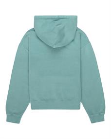Element CORNELL 3.0 PO WOMEN - Dames sweater hooded
