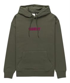 Element Cornell Cipher - Pullover-hoodie voor heren