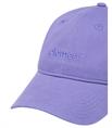 Element Fluky 3.0 - Dad Cap for Men