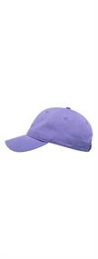 Element Fluky 3.0 - Dad Cap for Men