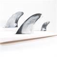 FCS II ''Mark Richards'' - XL Twin+1 - Surfboard Fins