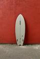 Hayden Hypto Krypto Twin - Fish - FCS II - Surfboard