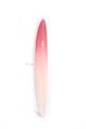 Indio Endurance The EGG surfboard