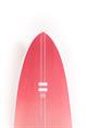 Indio Endurance The EGG surfboard