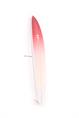 Indio Endurance The EGG surfboard