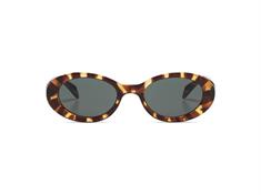Komono Ana Tortoise