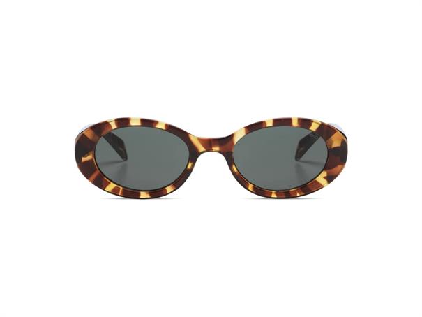 Komono Ana Tortoise