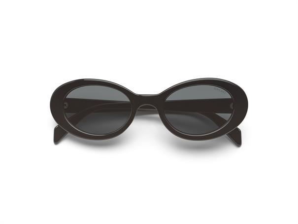 Komono Ana Tortoise