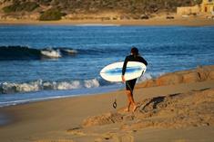 Lib Tech Terrapin - Midlength surfboard