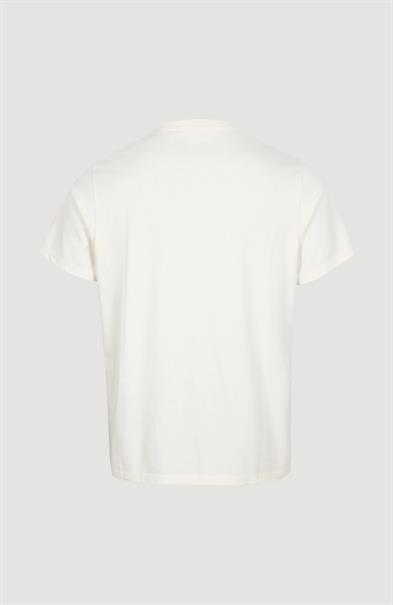 ONeill ALBOR T-SHIRT - Heren T-shirt