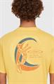 ONeill Heren Originals Vintage Grafisch T-shirt