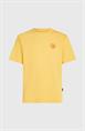 ONeill Heren Originals Vintage Grafisch T-shirt