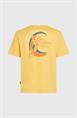 ONeill Heren Originals Vintage Grafisch T-shirt