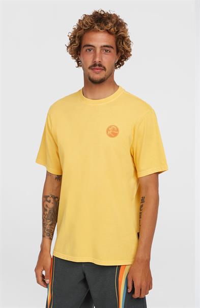 ONeill Heren Originals Vintage Grafisch T-shirt