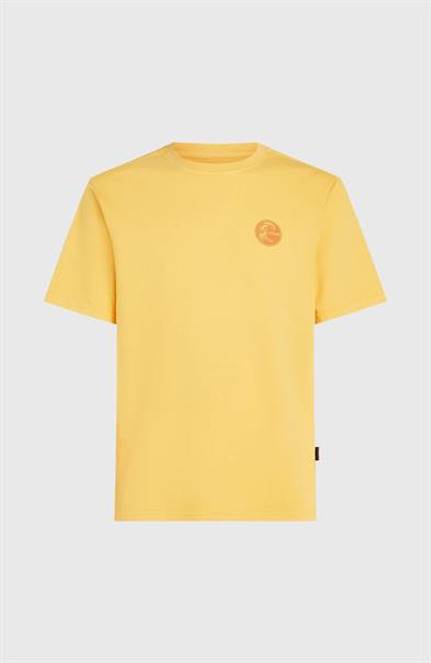 ONeill Heren Originals Vintage Grafisch T-shirt
