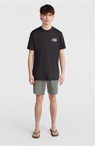 ONeill HYBRID CHINO SHORTS