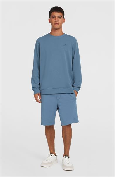 Oneill Logo Crew - Herrenpullover