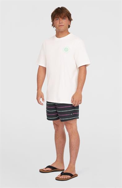 ONeill Men Chest Print T-Shirt