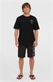 ONeill Men's Retro Graphic T-shirt