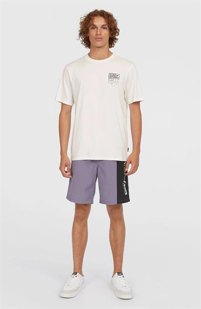 ONeill Men's Retro Graphic T-shirt
