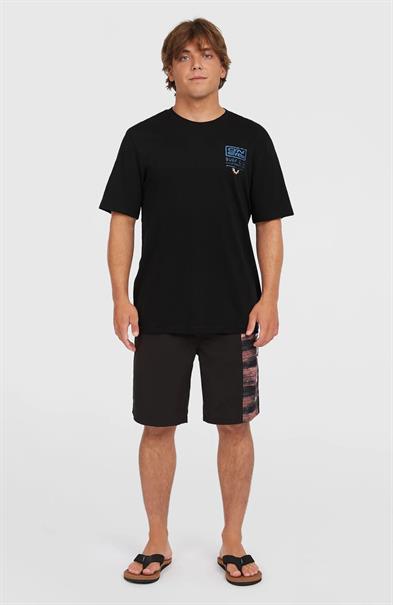 ONeill Men's Retro Graphic T-shirt