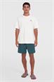 ONeill Surf Co - Heren T-shirt met korte mouwen