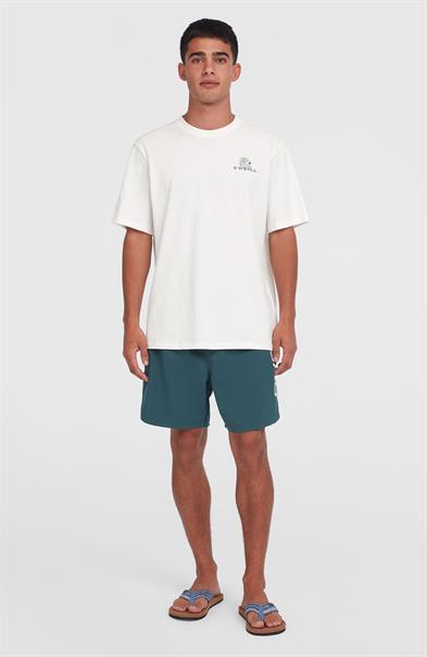 ONeill Surf Co - Heren T-shirt met korte mouwen