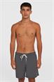 ONeill Vert 16'' - Men's Swim Shorts