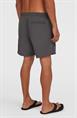 ONeill Vert 16'' - Men's Swim Shorts