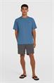 ONeill Vert 16'' - Men's Swim Shorts