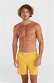 ONeill Vert 16'' - Men's Swim Shorts