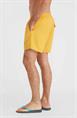 ONeill Vert 16'' - Men's Swim Shorts