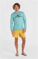 ONeill Vert 16'' - Men's Swim Shorts