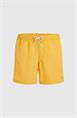 ONeill Vert 16'' - Men's Swim Shorts