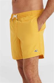 ONeill Vert 16'' - Men's Swim Shorts