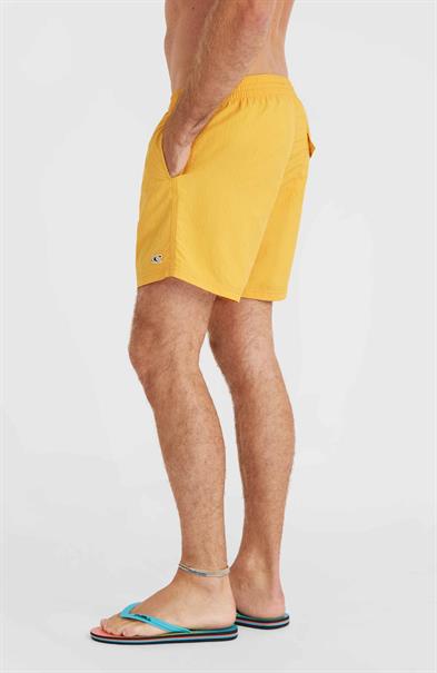 ONeill Vert 16'' - Men's Swim Shorts