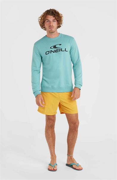 ONeill Vert 16'' - Men's Swim Shorts