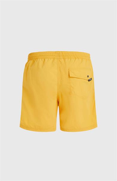 ONeill Vert 16'' - Men's Swim Shorts