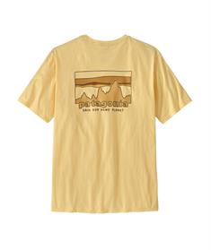 Patagonia '73 Skyline biologisch T-shirt voor heren